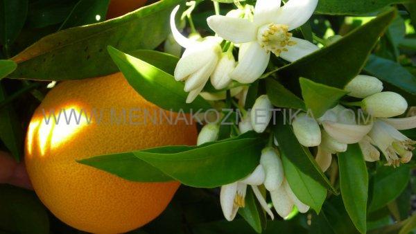 NEROLI KREMA protiv podočnjaka i tamnih kolutova 30ml